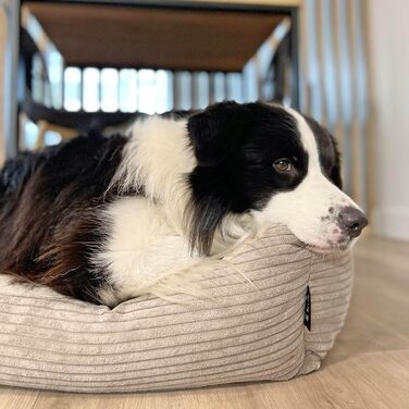 Зручне ліжко для собак 4L Textil Otto з знімним та пральним покриттям, кошик для собак, подушка для середніх собак, пухнасте, диван для собак (100 x 80 см, смужки 04) Розміри: 100 x 80 x 20 см, Бежевий