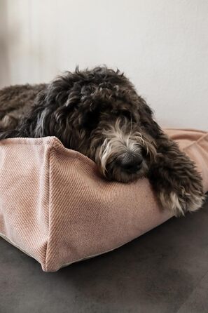 Ортопедичне ліжко для собак Flamingo Baldar – прямокутне, бежеве, 80 см. Комфортне місце для сну з подушкою Baldar, 80x60x18 см