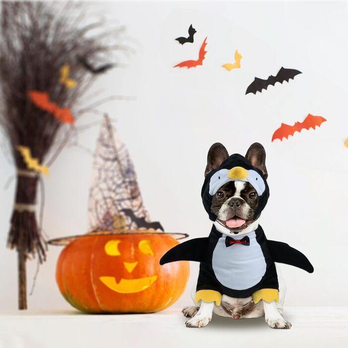 Костюм на Хелловін для собак Hotumn: Пінгуїн, милий та кумедний, для маленьких та середніх тварин (розмір M)