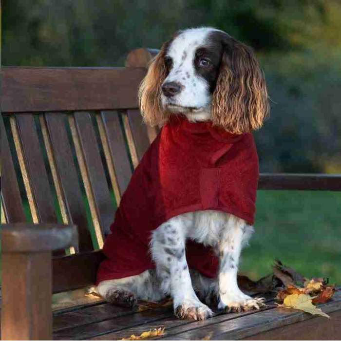 Руф та Тамбе Сухий корм для собак - Касичний Коекшн (Шипшина, Маленький)