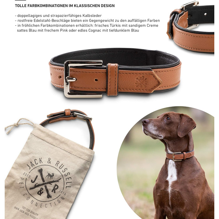 Преміум шкіряний нашийник для собак Jack Russell Lilly - нашийник з натуральної шкіри, преміум якість (XXL, S 32-39.5 см, Колір: Коричневий/Чорний)