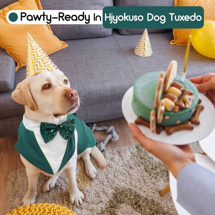 Костюм для собак з банданою, набір для святкування (весілля, день народження, Хелловін) - чорний з сріблястими смугами (M)