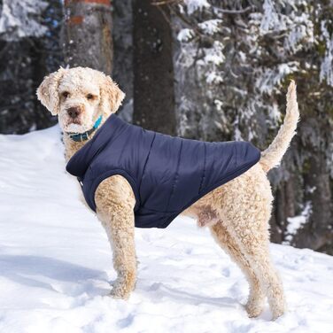 Тепла куртка для собак Meioro, зимова, з підкладкою, для французького бульдога, мопса, блакитна, XXL