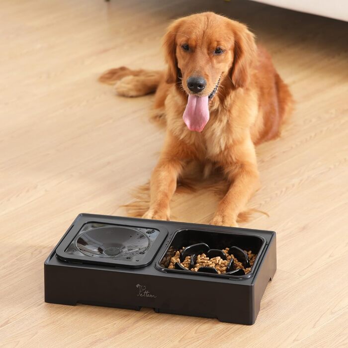 PETTOM Миска для собак з регулюванням висоти, антиковзаюча, сповільнює поїдання