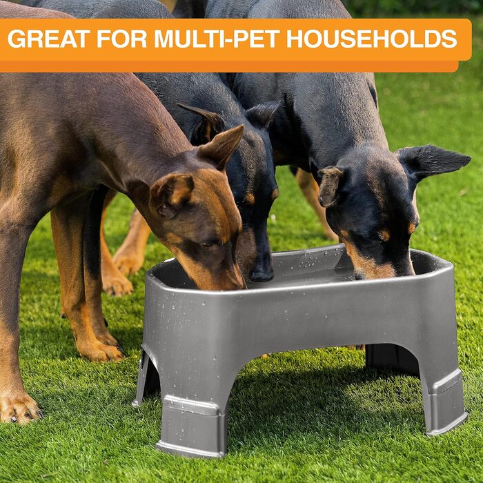 Neater Pet Brands Велика миска для собак з ніжками, 4.7 л, для корму чи води, темно-сіра