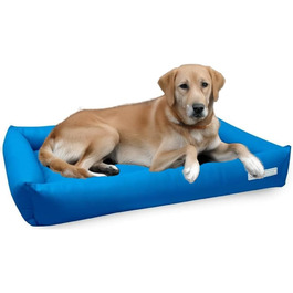 колір: блакитний