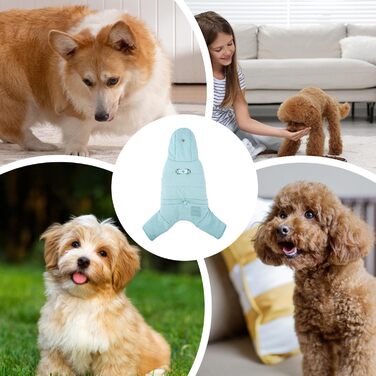 Зимовий одяг для собак: тепла куртка-худі для маленьких собак, блакитна, розмір L