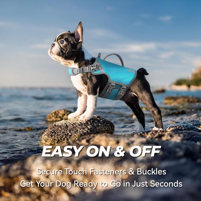 Жилет рятувальний для собак VIVAGLORY Neoprene, L, блакитний (66-74 см)