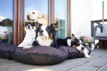 Ліжко для собак 4L Textil KLEO для великих собак, велике, знімний чохол, 130x110 см, коричневе