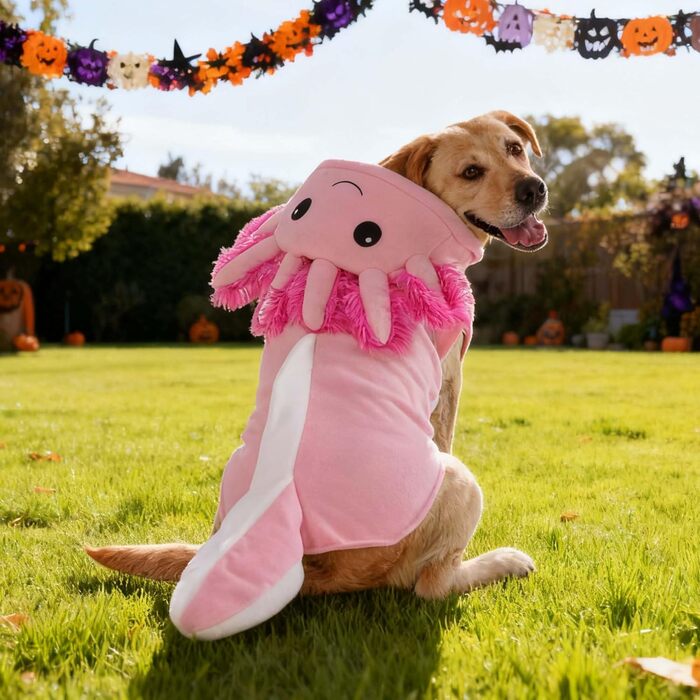 Костюм для собак Axolotl від FLAdorepet, карнавальний костюм рибки-саламандри, одяг для собак середніх та великих порід, зимовий костюм, капюшонний халат, піжама, кумедний одяг для догів, лабрадорів, бульдогів, розмір 6XL (Обхват грудей 84 см, Вага 23-27 