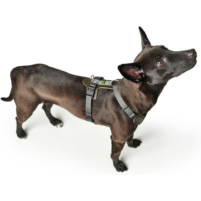 Нашийник для собак HUNTER AALBORG IXED, оливково-сірий, розмір M-L, з натуральної шкіри та нейлону, 5-рівневе регулювання, легкий, з пластиковими застібками, зроблене в Німеччині