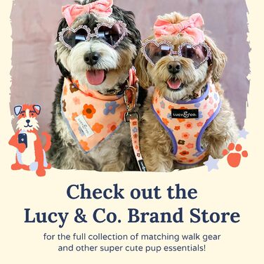 Шлея для собак Lucy & Co. Rosewater Teddy, не тягне, розмір L, прогулянкова та тренувальна, м'яка, з регульованими ременями