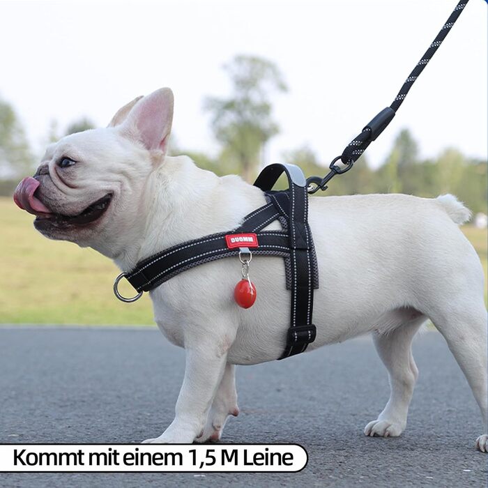 Нашийник для собак середніх та маленьких порід з повідком, кольоровий, сітка, м'який, з ручкою та кільцем, світловідбиваючий, легкий, чорно-сірий, розмір M