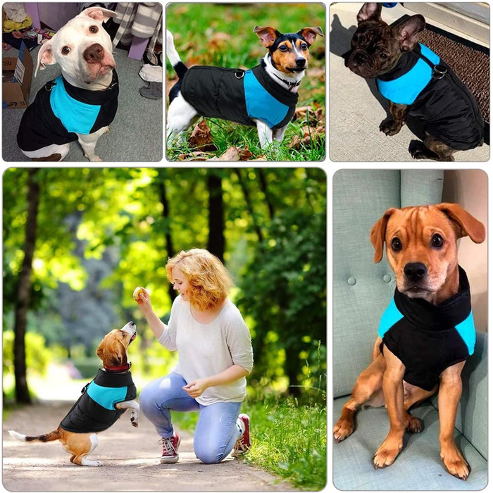 WELLXUNK Куртка для собак, тепла, водонепроникна, для маленьких та великих собак (3XL, блакитна, 83 см)