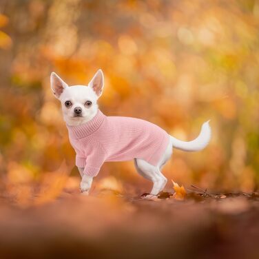 Теплий зимовий пуловер для собак малих та середніх порід, рожевий, M