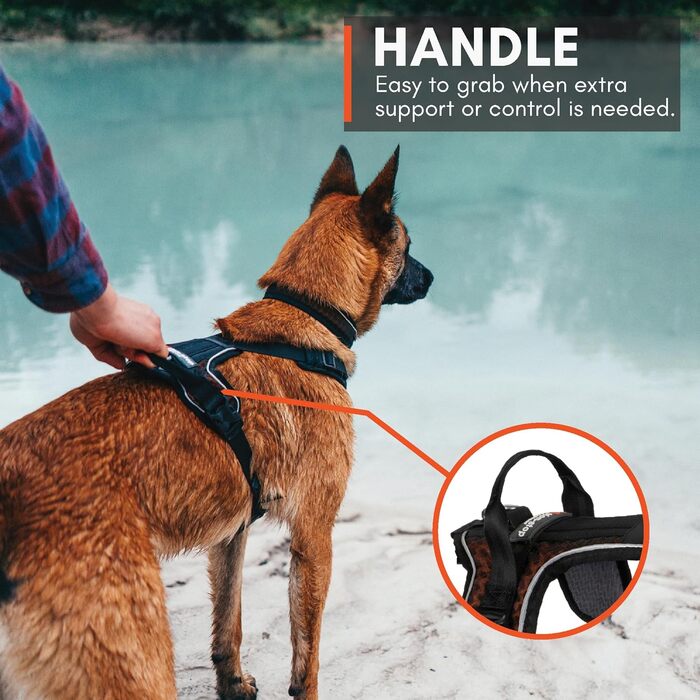 Шлейка для собак Non-Stop Dogwear Rock Harness, розмір M, чорна