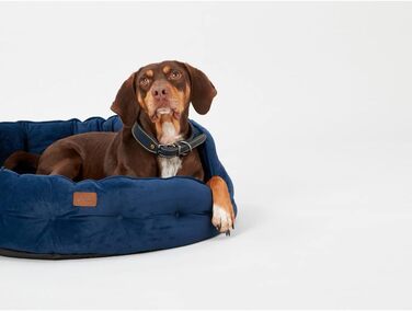 Ліжко для собак Roewood x Joule Chesterfield, невелике, розкішне, з антиковзким дном, додатковою підкладкою та підтримкою, дизайн у стилі Chesterfield, зручне місце для відпочинку (темно-синій, 70x70x27 см)