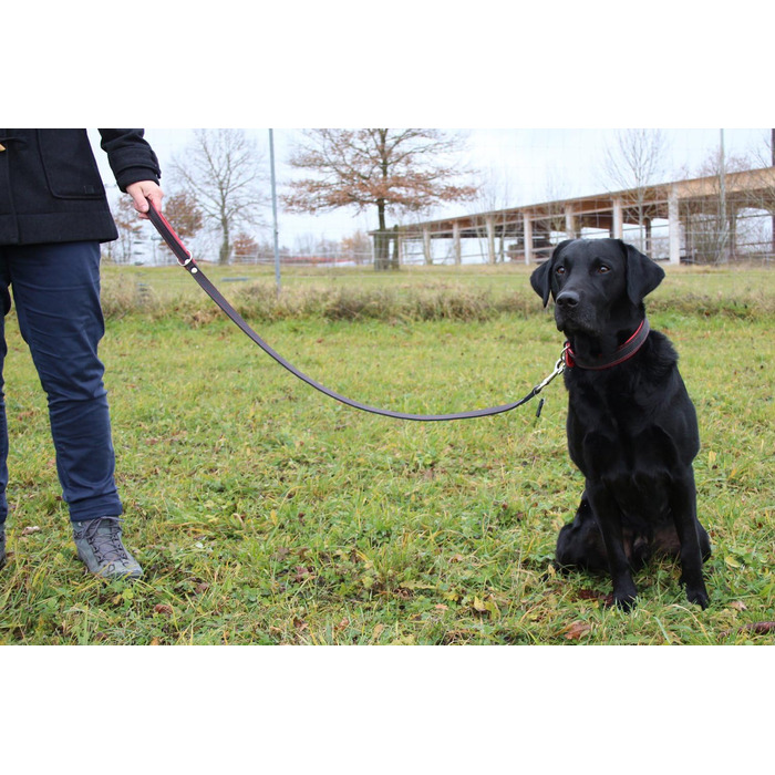 Повідок для великих собак Activity4Dogs, натуральна шкіра, 1 м, 2 см, з м'якою ручкою, преміум якість, чорний з червоним, вироблено в Німеччині