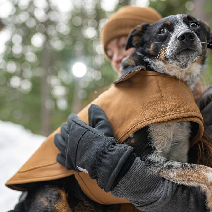 Carhartt фірмова утеплена куртка для собак, водостійка, міцна, без PFAS, для холодної погоди, коричнева, розмір M