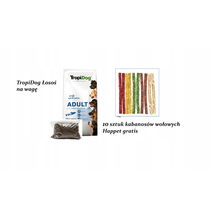 Сухий корм для собак TropiDog Premium Adult Лосось із рисом, 12 кг