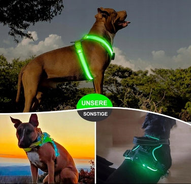 Світлодіодна шлейка для собак з акумулятором та USB-зарядкою, розмір XL