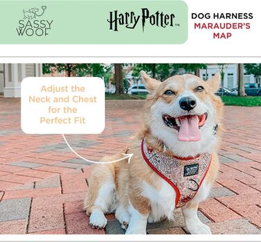 Регульована шлейка для собак Sassy Woof Harry Potter™ Marauder’s Map XL, дихаюча сітка, подвійний D-кільця, не тягне, для великих собак, офіційна