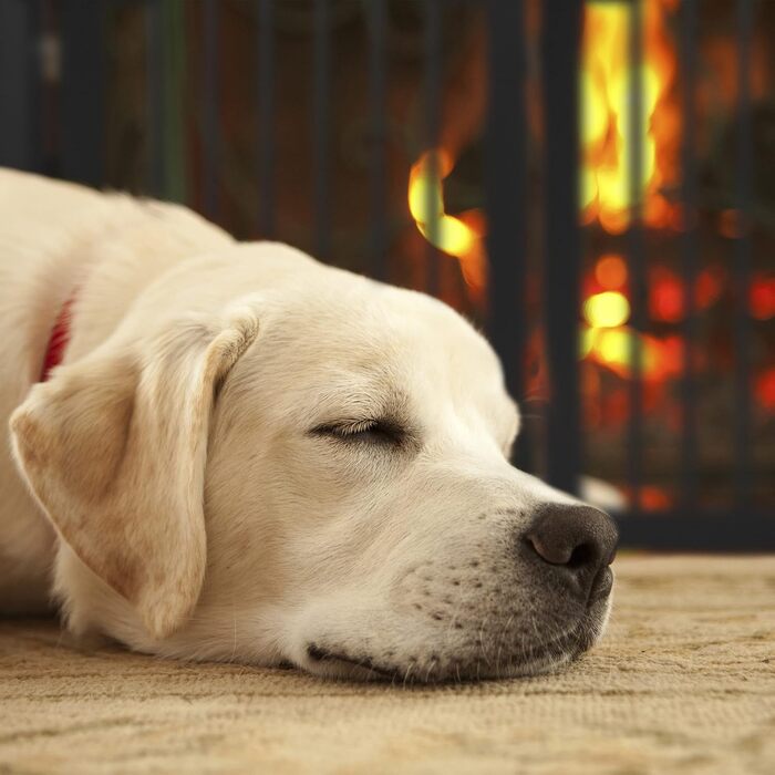 Захисне ворота Relaxdays для собак та котів, чорне, 70 x 205,5 см