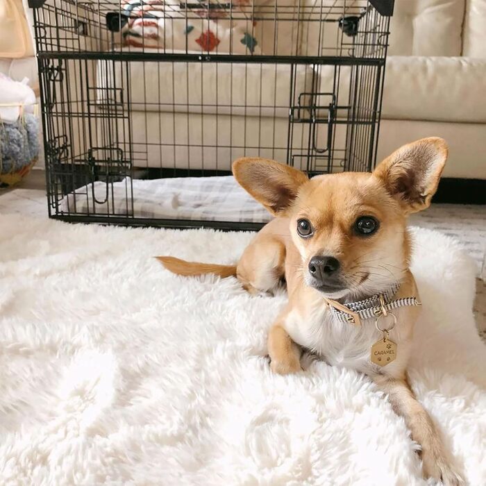 Вольєр для собак Lucky Dog Slyder Whisper з розсувними дверима, 2 бокові двері, патентовані кутові стабілізатори, знімний піддон, гумові ніжки, ручка для перенесення, розмір X-Large
