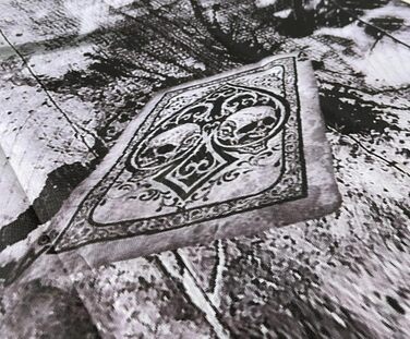 Ширма QUICK STAR з тканини, 180 x 178 см, Skull - для дому, саду, балкону