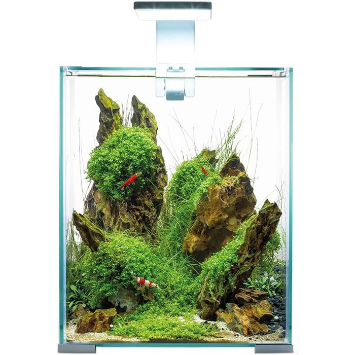 Акваріум Aquael Shrimp Set Day&Night 20 білий, 19 л, комплект для креветок, 4.63 кг