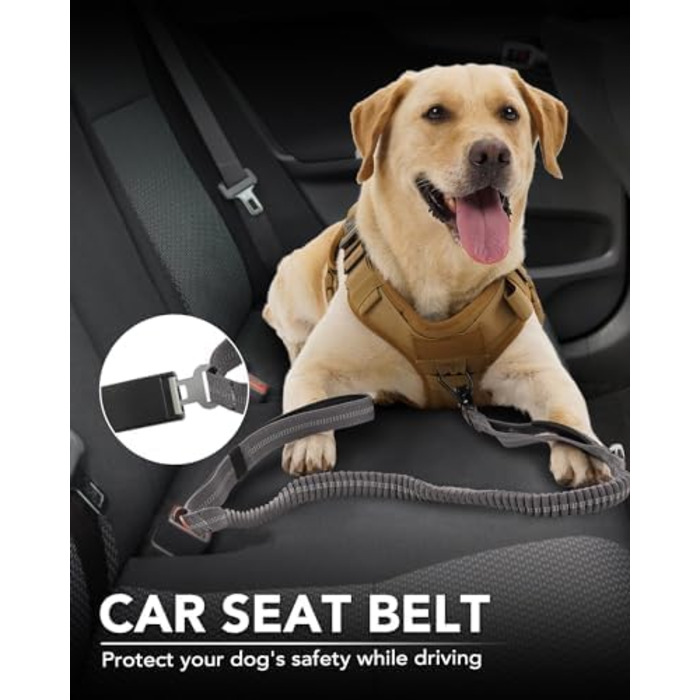 Тактична повід для собак Joytale, еластичний (bungee) повід з двома м'якими ручками, автофіксатор, повід без ривка для собак середніх, великих та екстра-великих порід (1.2м-1.8м, сірий)