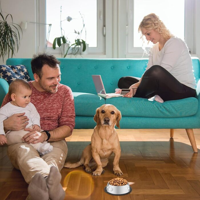 Набір з 8 мисок для собак з нержавіючої сталі, годівниця для домашніх тварин з гумовою основою, миска для корму та води для собак, котів та інших тварин