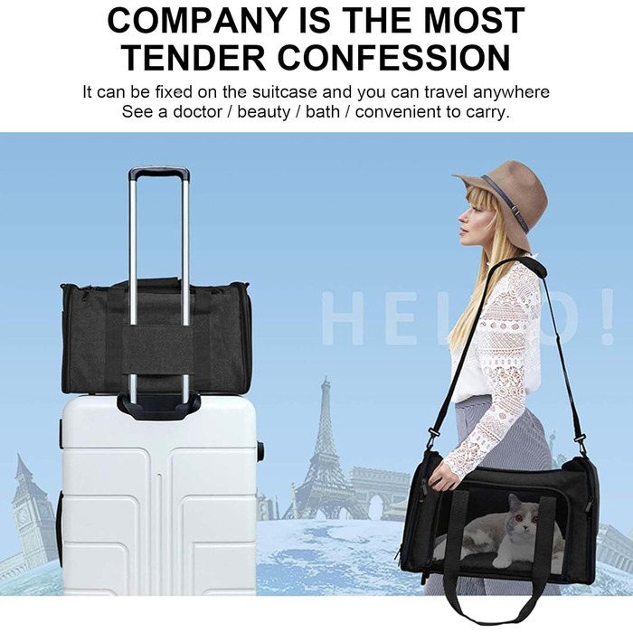 М'яка переноска для котів та собак, складана переноска для кота з дихаючою сіткою, оксфордська тканина зі шлейкою для маленьких собак, котів та кроликів (Чорний)