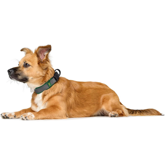 Крісло HUNTER Hasband Madon: дихаюча сітка, міцний нейлон, гіпоалергенне, з підлокітниками, адресна панель, розмір XL, зелене