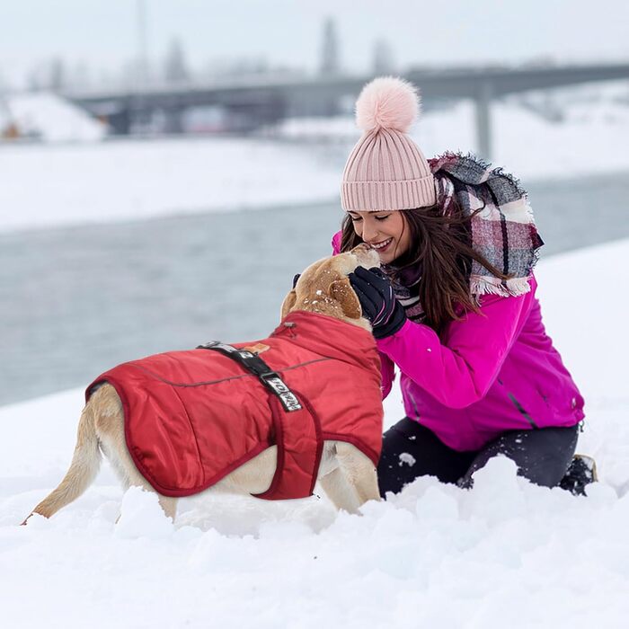 Зимовий одяг для собак FeimaX: теплий, вітронепроникний зимовий одяг для собак середніх та великих порід. Вітронепроникна жилетка для собак з D-кільцем (червоний, 5XL)