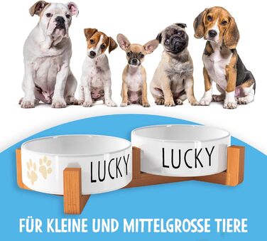 Персоналізована миска для собак OWLBOOK з ім'ям - подвійна керамічна миска з бамбуковим підставкою, 300 мл