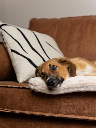 TrendPet Harmony: м'яка підстилка для собак та котів, 50x35 см, кремового кольору