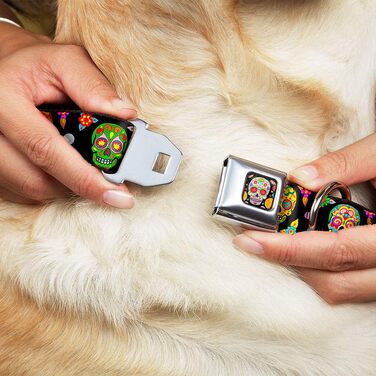 Нашийник для собак Buckle Down Colorful Calaveras, 22,9–38,1 см, чорний з різнокольоровими черепами