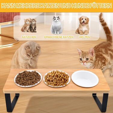 Набір мисок для котів ZOBMIO (3 шт.) з нахилом 15°, 12.5 см, 200 мл, з підставкою з силікону, придатні для миття в посудомийній машині, для котів та маленьких собак