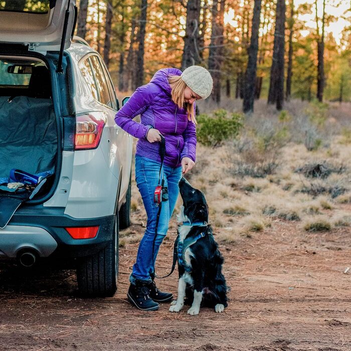 Kurgo Pflicht Tasche – Диспенсер для корму для котів Petface