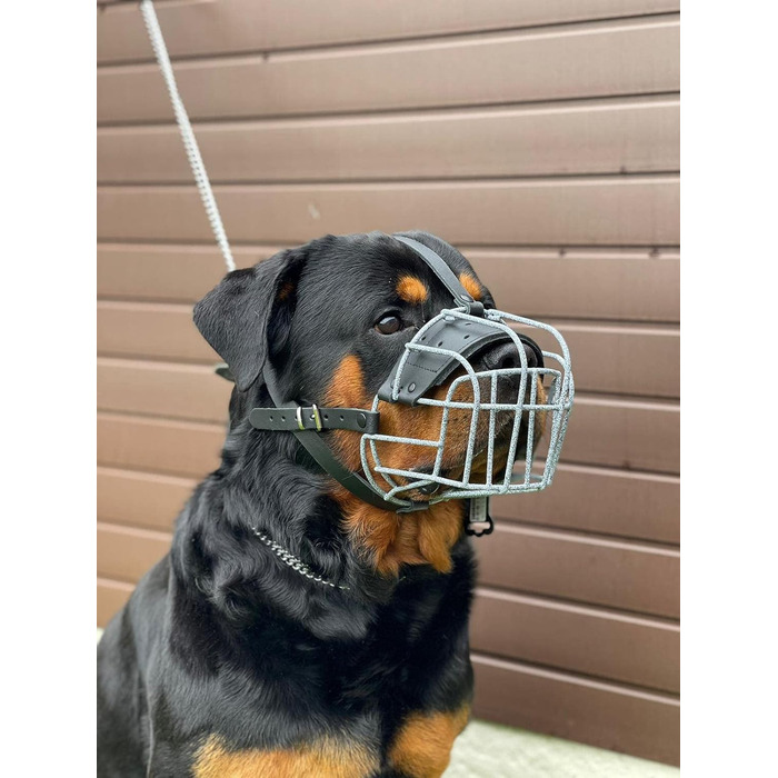Міцний нашийник-маска для собак з дротяної сітки, Rottweiler, Mastiff, Golden Retriever та інші (шкіряний, чорний, R4)