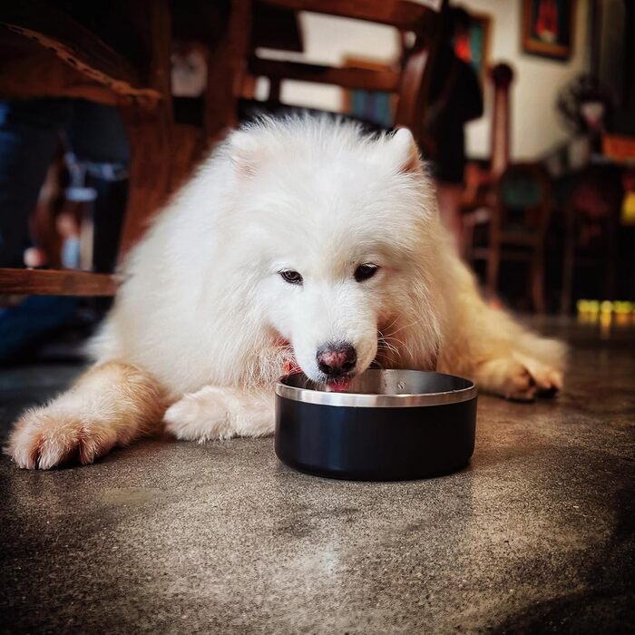 Набір мисок для собак IKITCHEN з нержавіючої сталі, подвійні стінки, ізольовані, чорні (1,2 л)