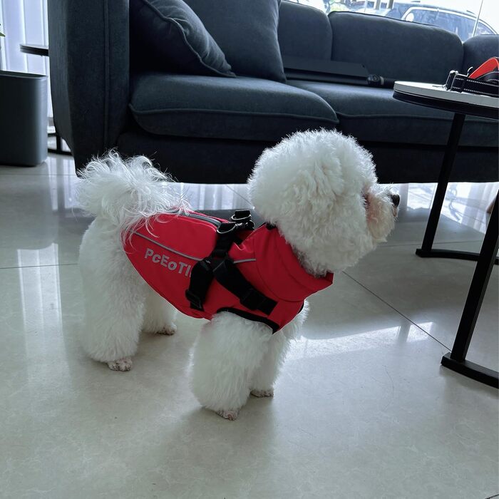 Водонепроникний теплий зимовий накидка для собак маленьких порід, світловідбиваючий, з дзвінком, бавовна, червоний, XXL