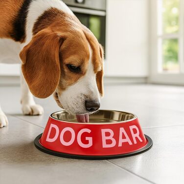 Подвійний набір мисок для собак Fisura Dog Bar з нержавіючої сталі, 500 мл + 1000 мл, рожевий та червоний, антиковзні