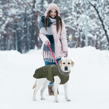 Зимовий теплий одяг для собак - водонепроникний, вітронепроникний, з світловідбиваючими елементами (Green, L)