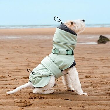 Зимовий одяг для маленьких собак: теплий пуловер з флісу, жилет для активного відпочинку, куртка з регульованою шлейкою, безрукавна куртка для цуценят Green L