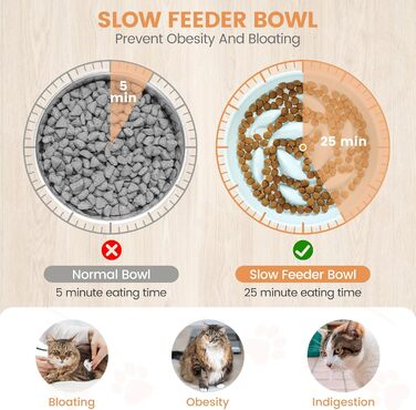 Миска для котів PETTOM Anti-Schling Napf, керамічна, піднята, для повільного годування, для котів та маленьких собак, білий настінний набір