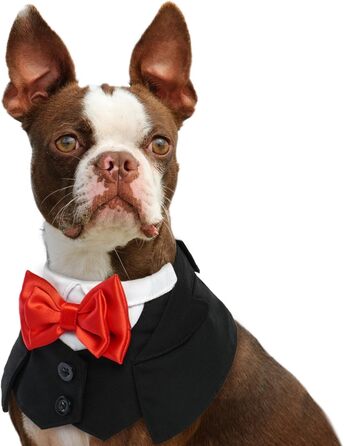 Елегантний ошийник для собак з метеликом для весілля, Soking, День святого Валентина, День народження - костюм для собак, одяг для котів (S, чорний)