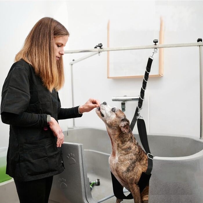 Нашийник для собак 3 шт., міцний, з регульованим тросом та D-кільцями, для грумінгу та купання, блакитний