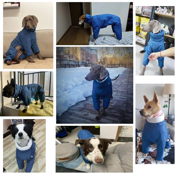 Теплий зимовий халат для собак з високим коміром, фліс, для маленьких, середніх та великих собак, блакитний